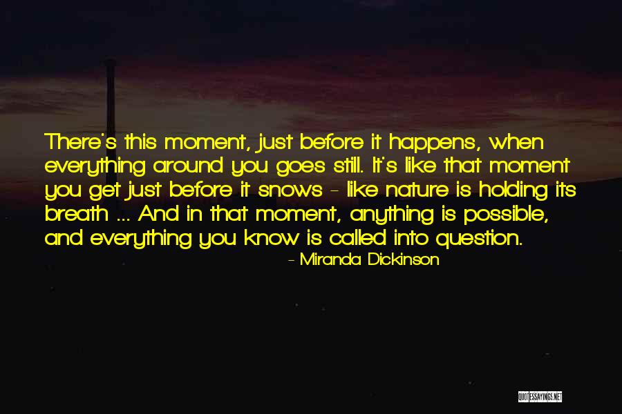 Everything Is Possible In Love Quotes By Miranda Dickinson