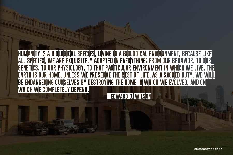 Everything Is Sacred Quotes By Edward O. Wilson Everything Is Sacred Quotes By Edward O. Wilson