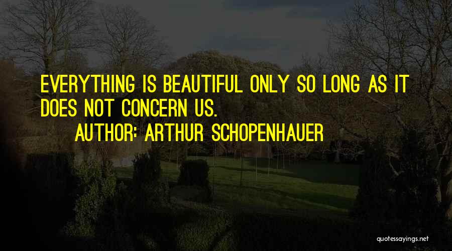 Everything Is So Beautiful Quotes By Arthur Schopenhauer