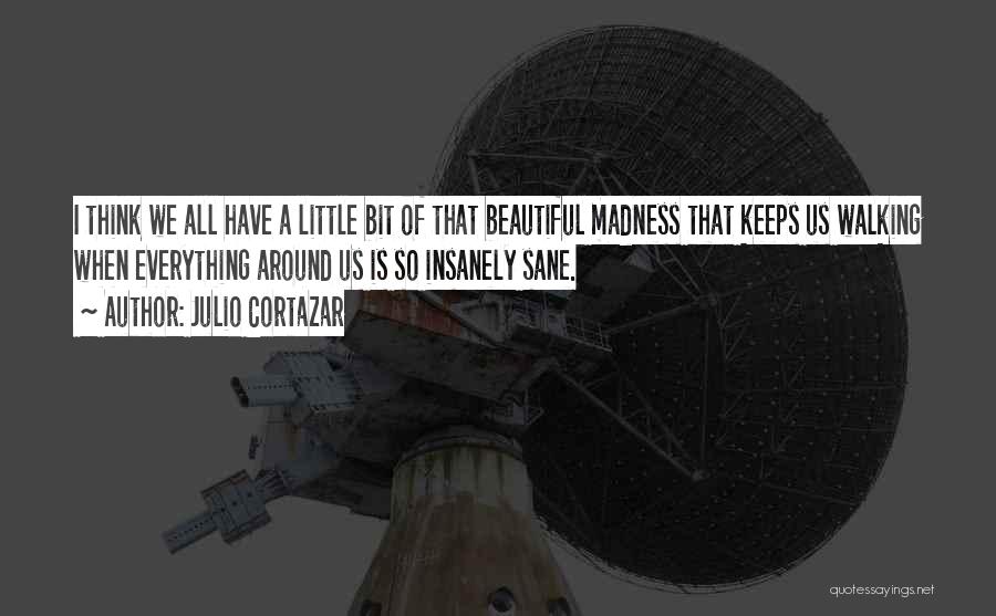 Everything Is So Beautiful Quotes By Julio Cortazar