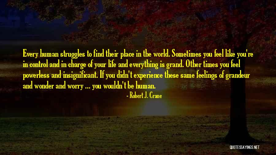 Everything Is You Quotes By Robert J. Crane