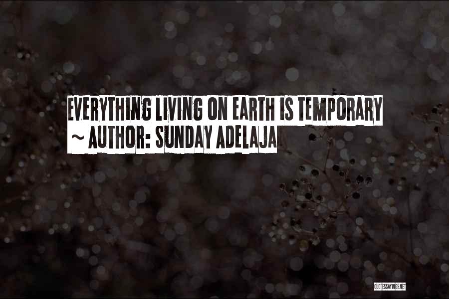 Everything Life Temporary Quotes By Sunday Adelaja