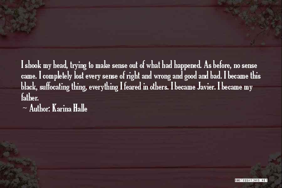 Everything Make Sense Quotes By Karina Halle