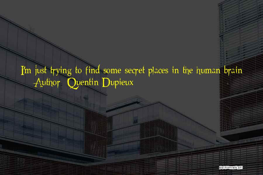 Everything Make Sense Quotes By Quentin Dupieux