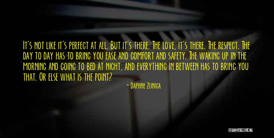 Everything May Not Be Perfect Quotes By Daphne Zuniga