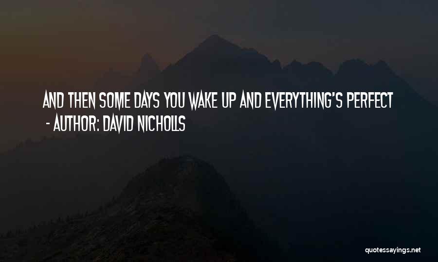 Everything May Not Be Perfect Quotes By David Nicholls