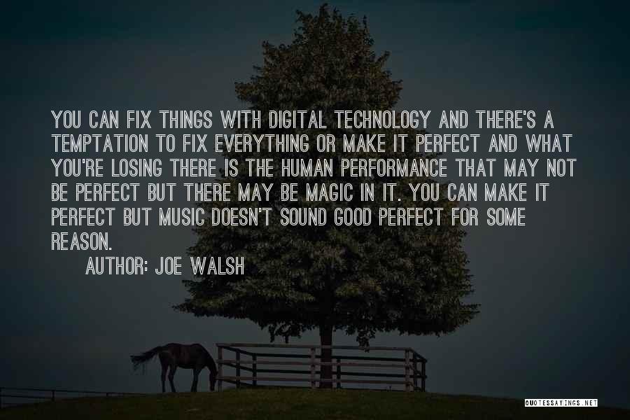 Everything May Not Be Perfect Quotes By Joe Walsh