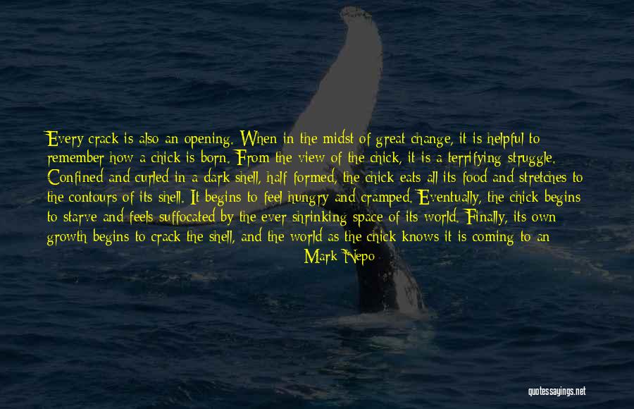 Everything Must Change Quotes By Mark Nepo