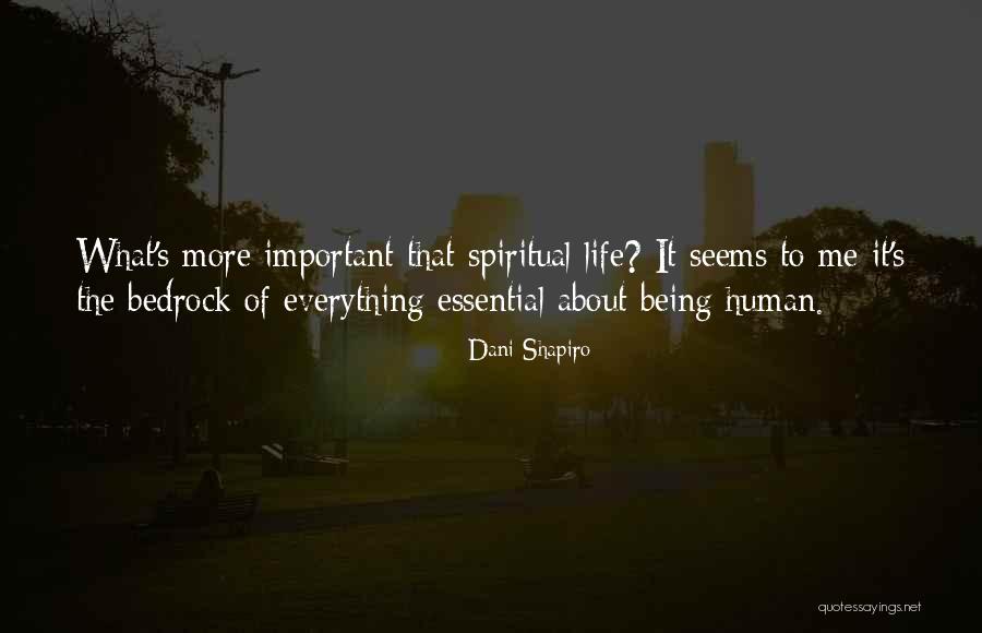 Everything Not Being As It Seems Quotes By Dani Shapiro Everything Not Being As It Seems Quotes By Dani Shapiro