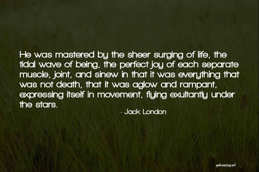 Everything Not Being Perfect Quotes By Jack London