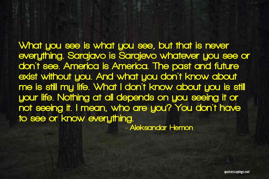 Everything Or Nothing Quotes By Aleksandar Hemon