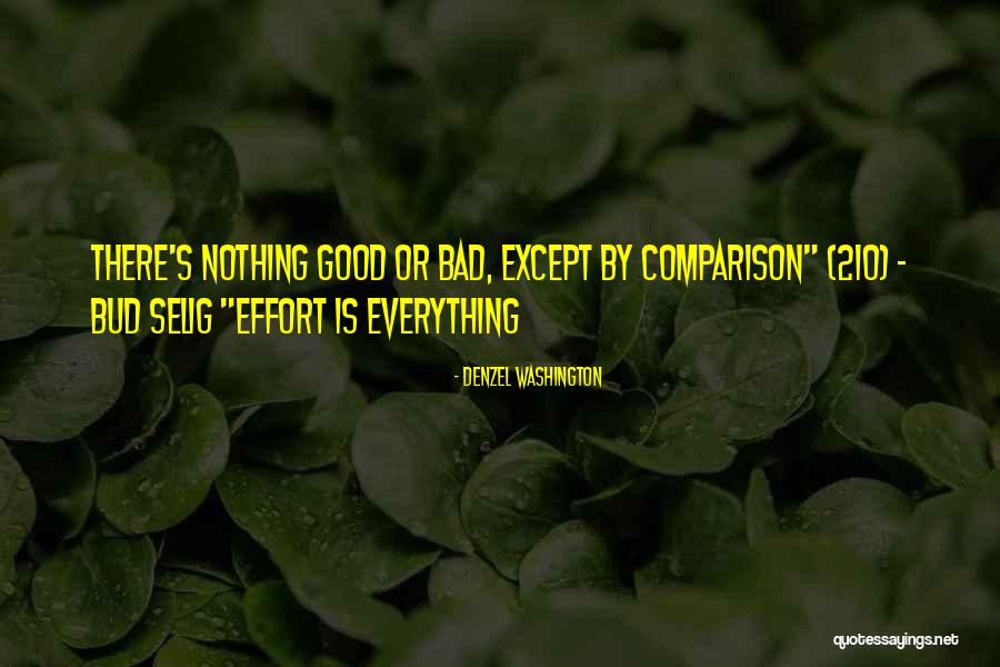 Everything Or Nothing Quotes By Denzel Washington