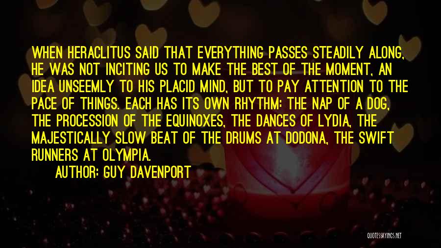 Everything Passes Quotes By Guy Davenport