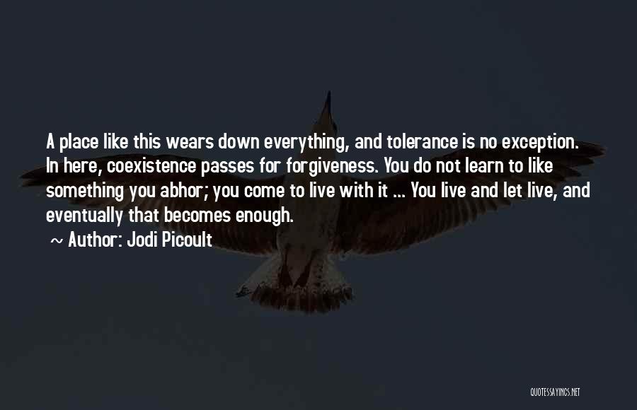 Everything Passes Quotes By Jodi Picoult