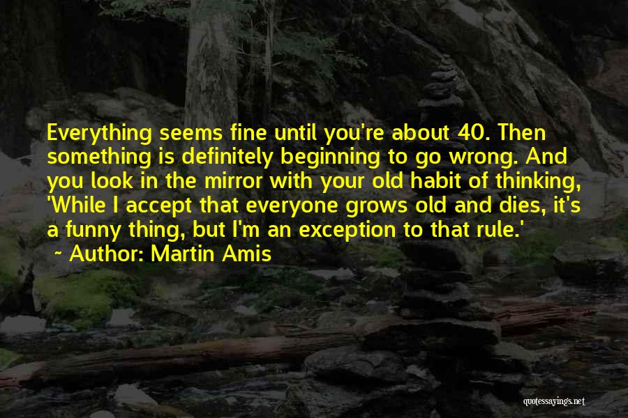 Everything Seems Going Wrong Quotes By Martin Amis