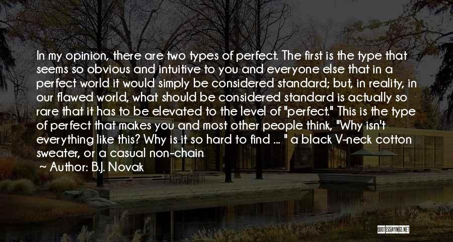 Everything Seems So Perfect Quotes By B.J. Novak