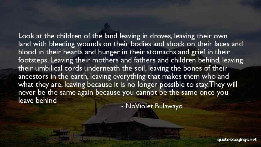 Everything That Quotes By NoViolet Bulawayo