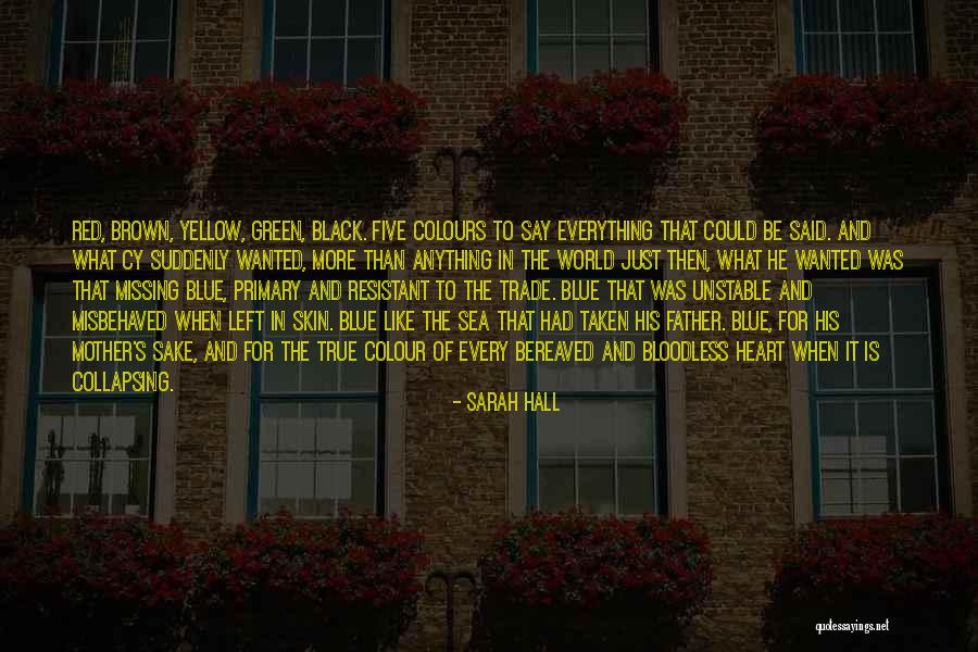 Everything That Quotes By Sarah Hall