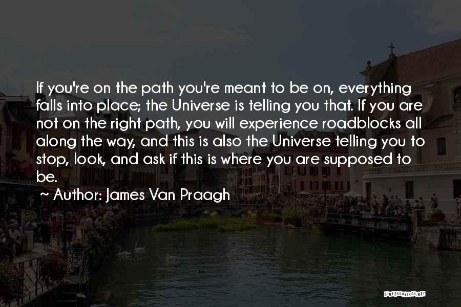 Everything That's Meant To Be Will Be Quotes By James Van Praagh