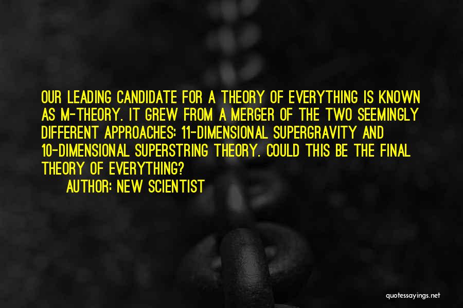 Everything Theory Quotes By New Scientist