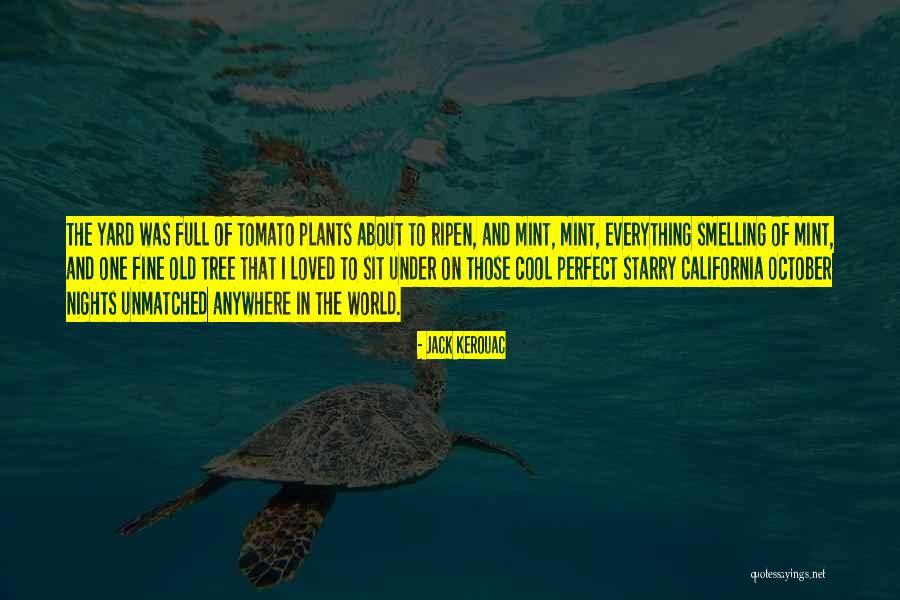 Everything Under Quotes By Jack Kerouac Everything Under Quotes By Jack Kerouac