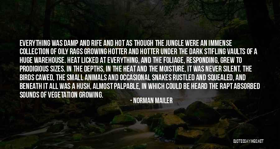 Everything Under Quotes By Norman Mailer Everything Under Quotes By Norman Mailer