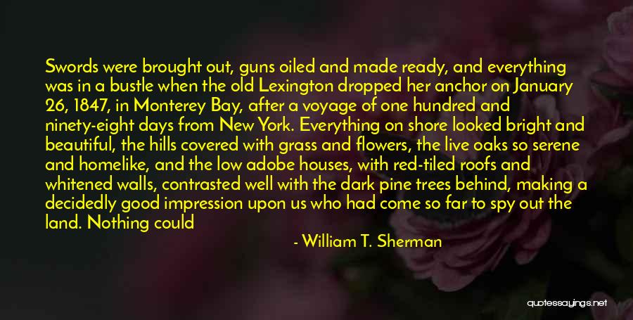 Everything Was Good Quotes By William T. Sherman Everything Was Good Quotes By William T. Sherman