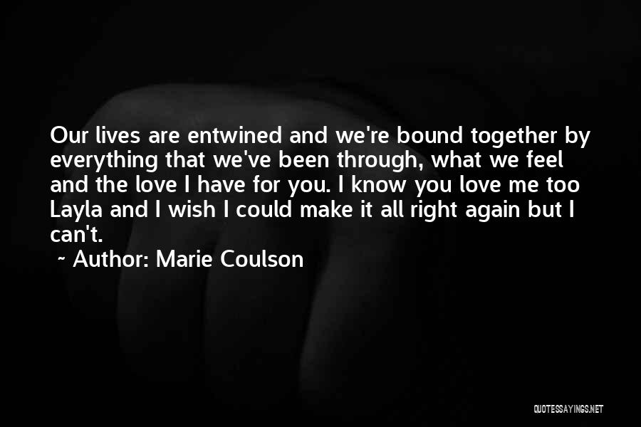 Everything We Been Through Quotes By Marie Coulson