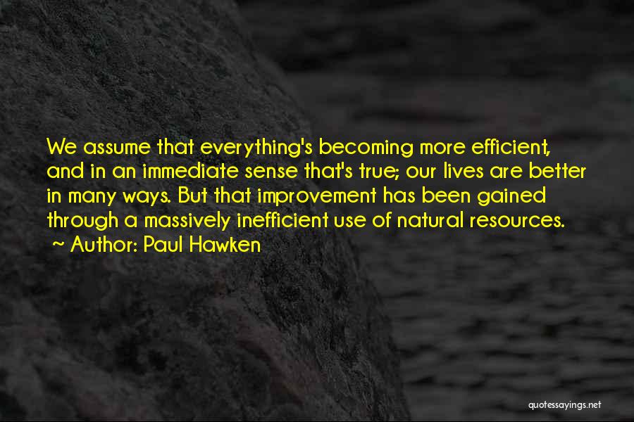 Everything We Been Through Quotes By Paul Hawken