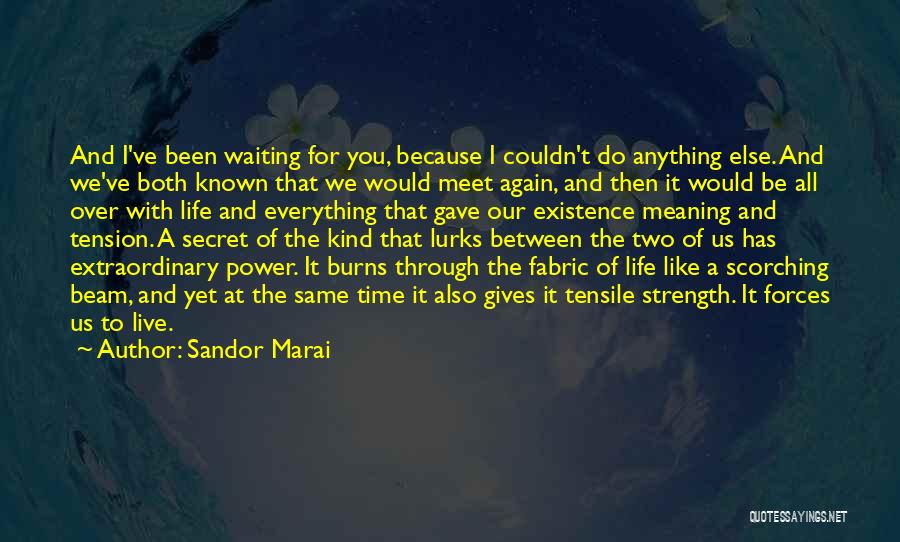 Everything We Been Through Quotes By Sandor Marai