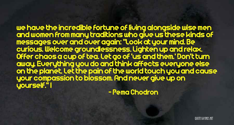 Everything You Do Quotes By Pema Chodron Everything You Do Quotes By Pema Chodron