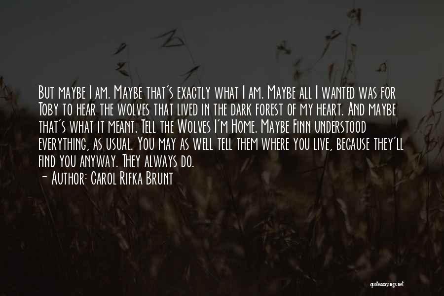 Everything You Hear Quotes By Carol Rifka Brunt