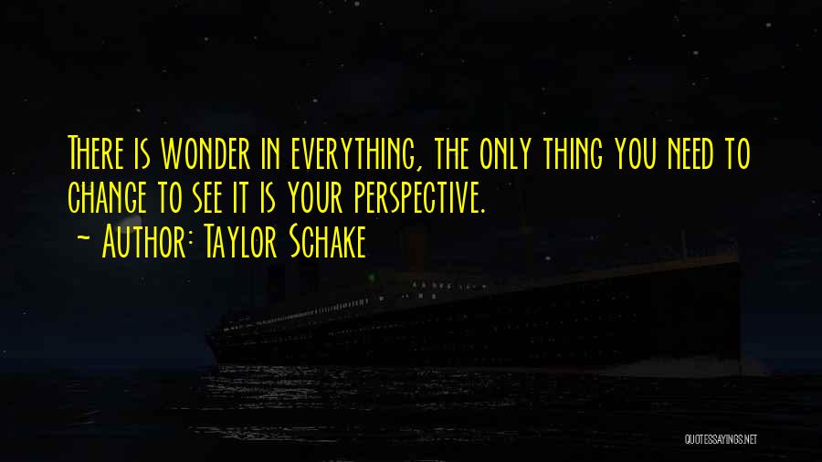 Everything You See Quotes By Taylor Schake
