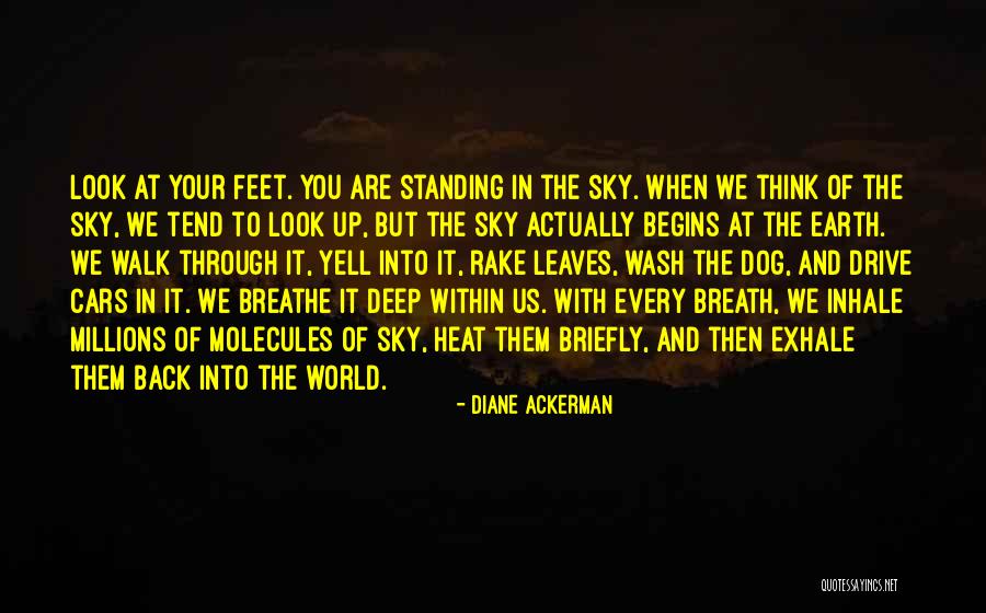Everythings Gonna Quotes By Diane Ackerman Everythings Gonna Quotes By Diane Ackerman