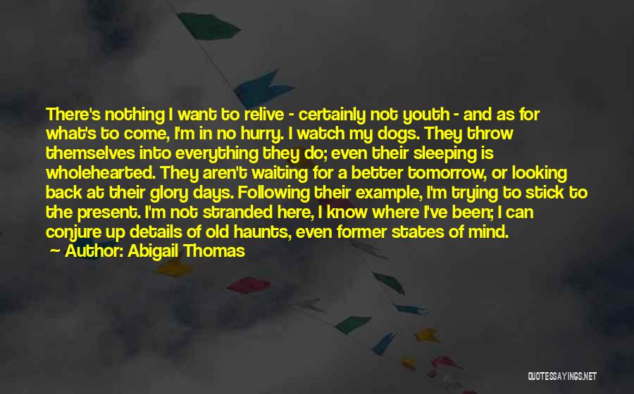 Everything's Looking Up Quotes By Abigail Thomas