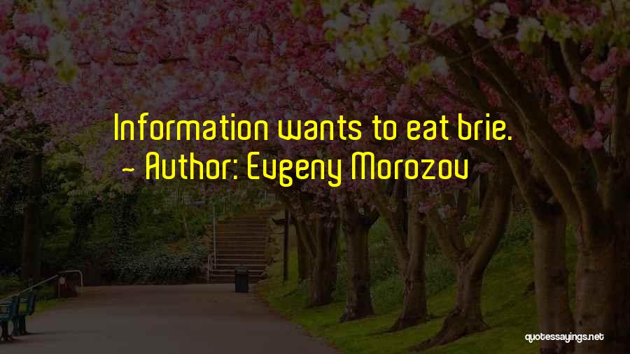 Evgeny Morozov Quotes 1524243