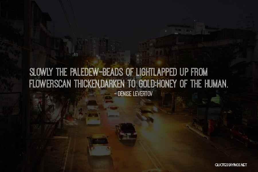 Evgueni Nesterov Quotes By Denise Levertov Evgueni Nesterov Quotes By Denise Levertov