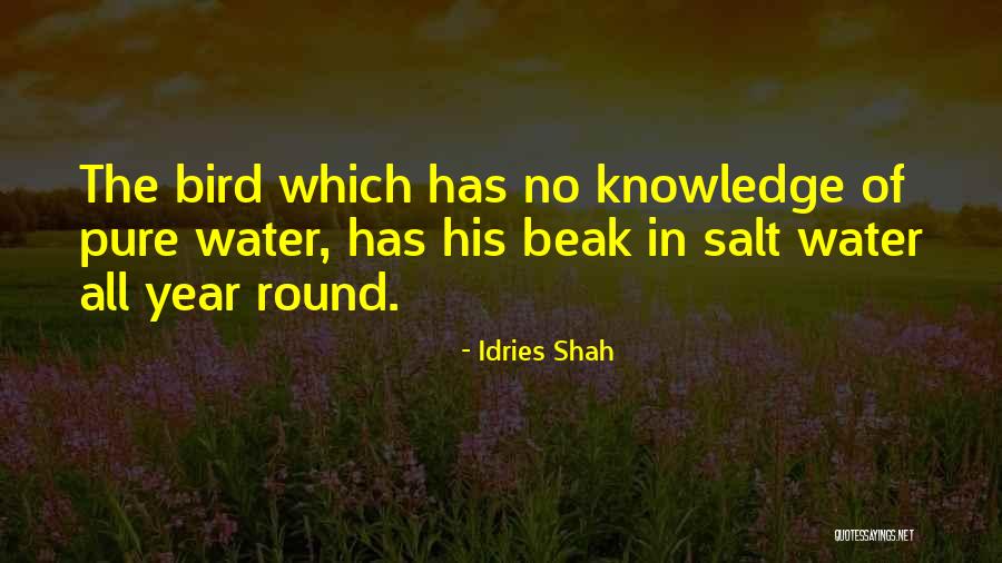 Evguenia Koutaeva Quotes By Idries Shah Evguenia Koutaeva Quotes By Idries Shah