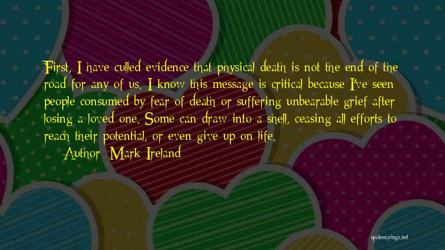 Evidence Of Things Not Seen Quotes By Mark Ireland