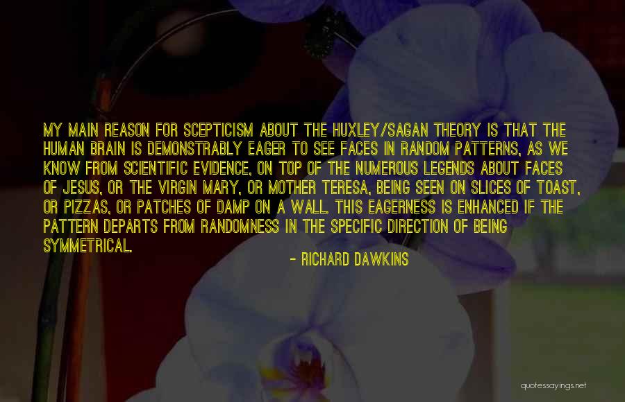 Evidence Of Things Not Seen Quotes By Richard Dawkins