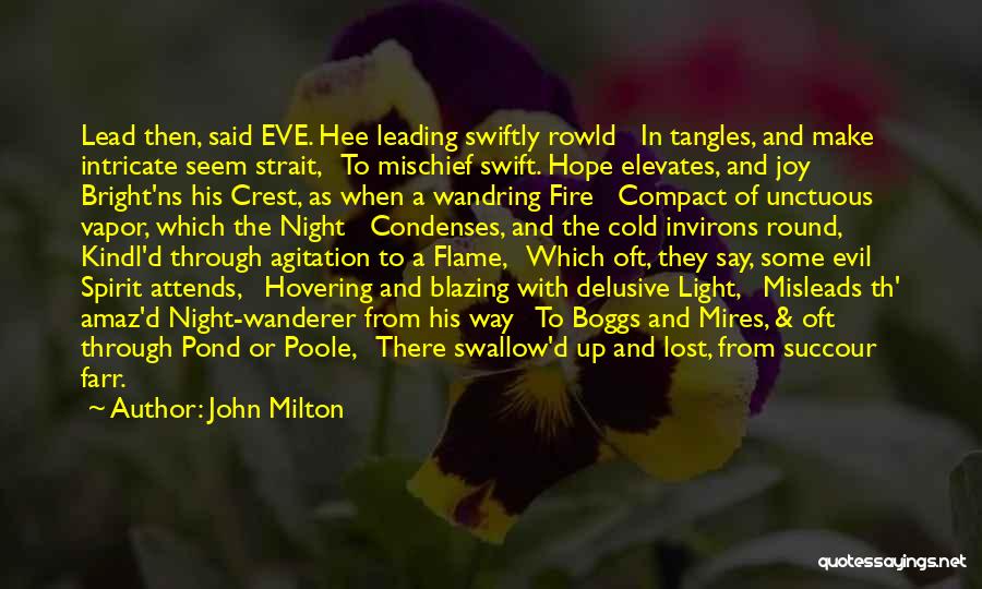 Evil And Hope Quotes By John Milton