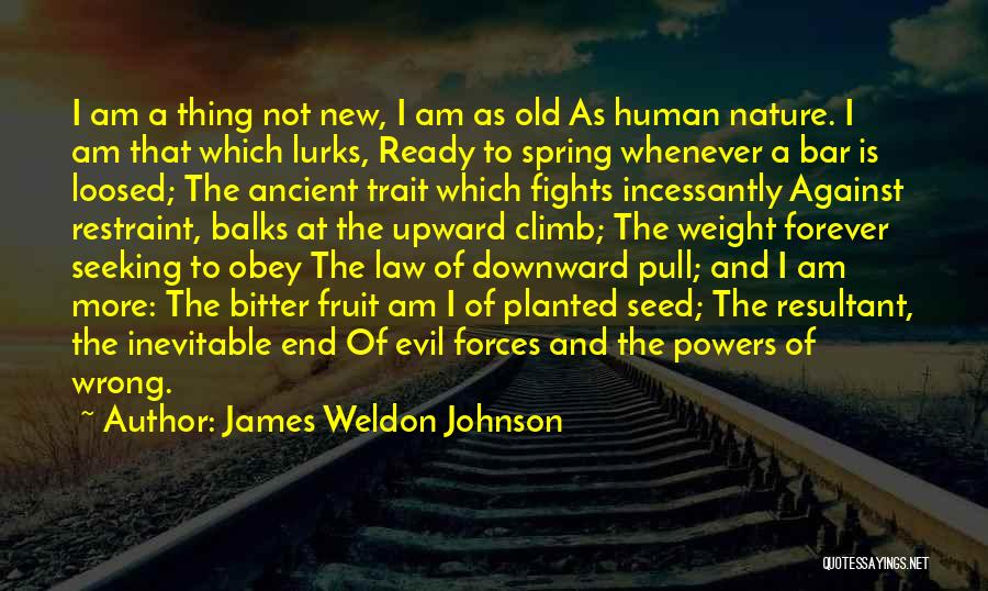 Evil And Human Nature Quotes By James Weldon Johnson