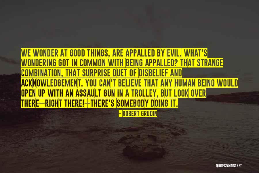 Evil Being Good Quotes By Robert Grudin Evil Being Good Quotes By Robert Grudin