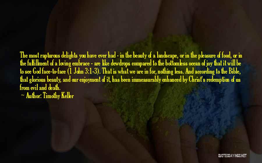 Evil Bible Evil Bible Quotes By Timothy Keller Evil Bible Evil Bible Quotes By Timothy Keller