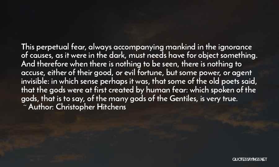 Evil But Good Quotes By Christopher Hitchens