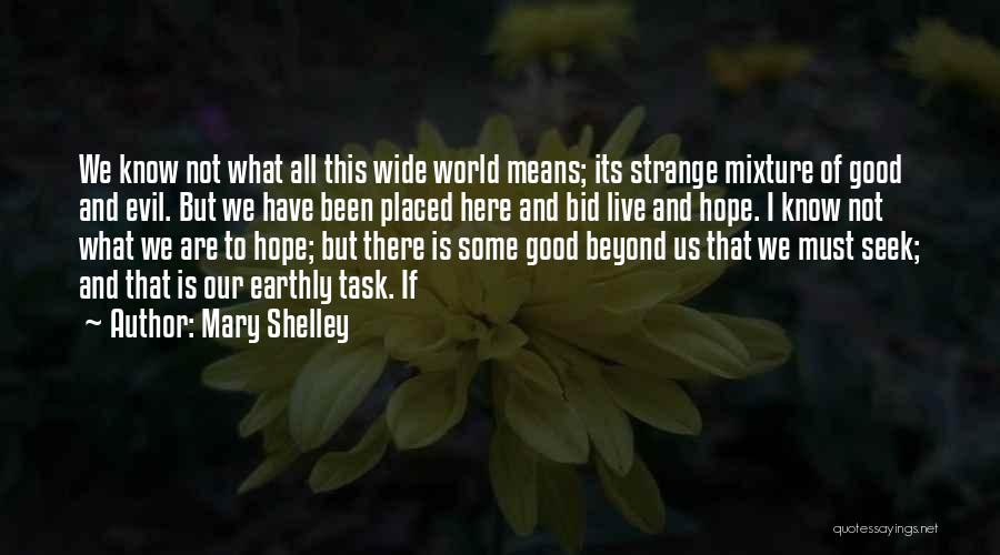 Evil But Good Quotes By Mary Shelley