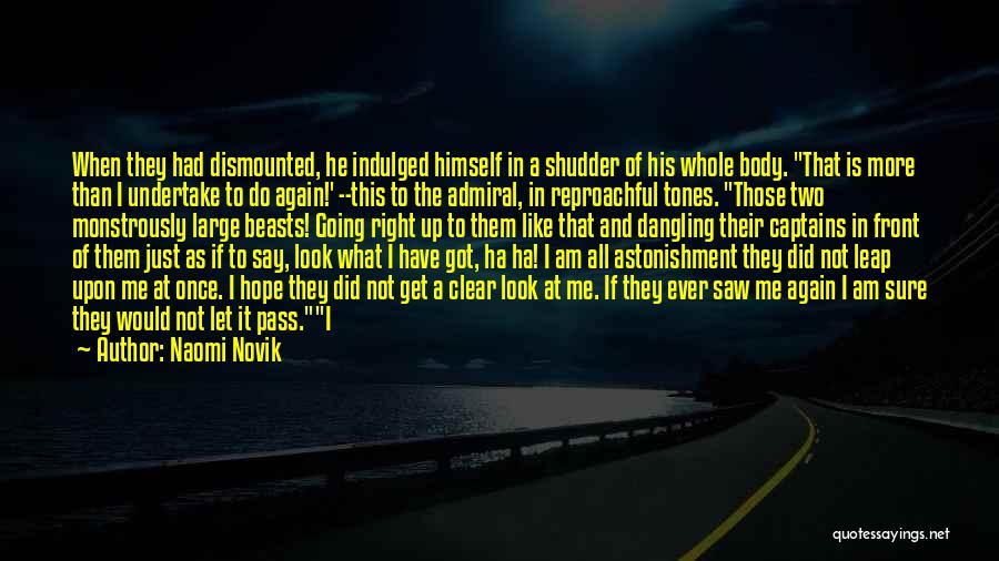 Evil But Good Quotes By Naomi Novik