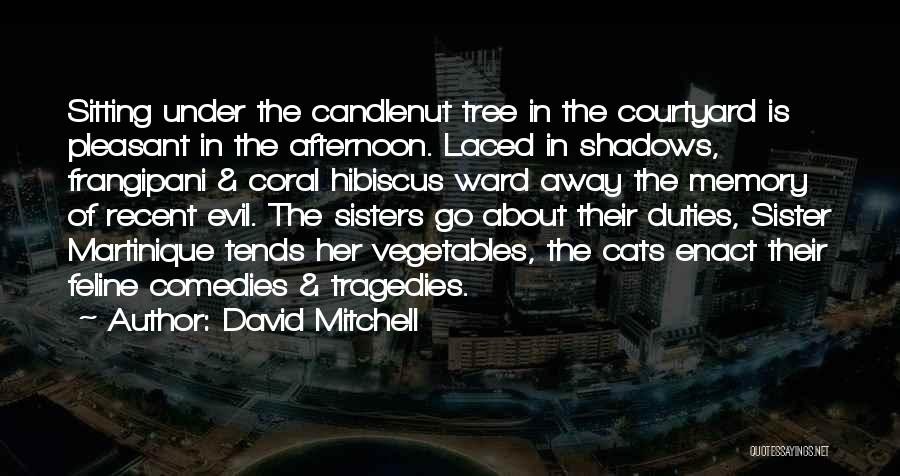 Evil Cats Quotes By David Mitchell Evil Cats Quotes By David Mitchell