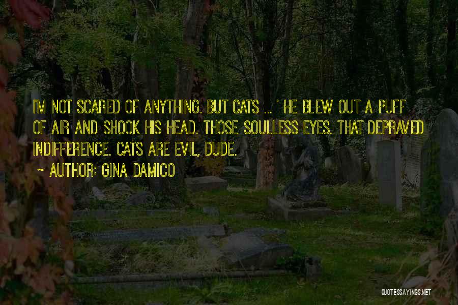 Evil Cats Quotes By Gina Damico