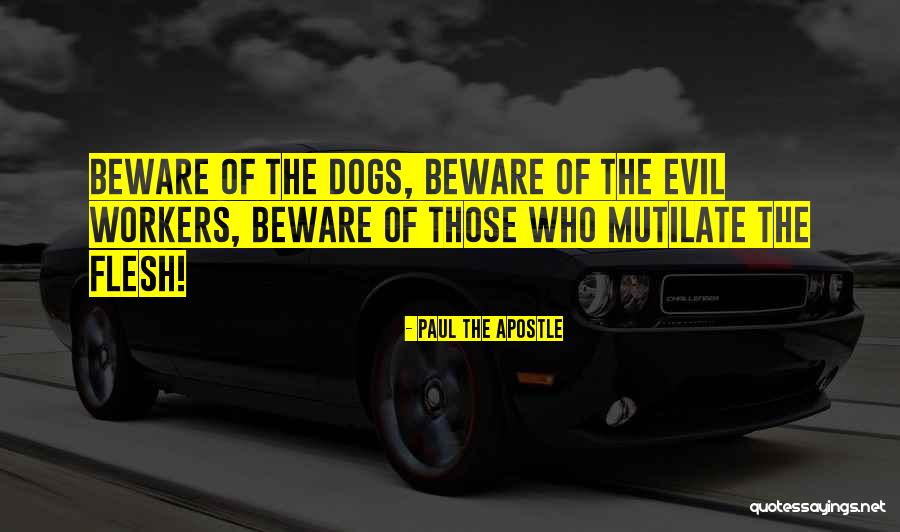 Evil Co Workers Quotes By Paul The Apostle